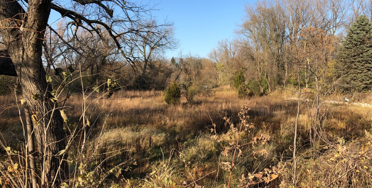 Mary Elle Helgren Johnson Preserve