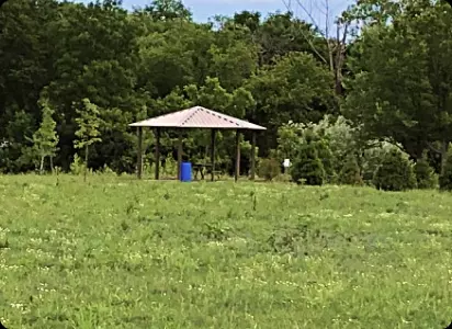 Brose Park